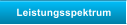 Leistungsspektrum