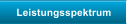 Leistungsspektrum